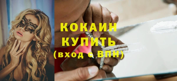 гашик Алексин