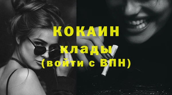 индика Рославль