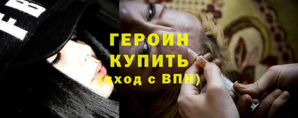 гашик Алексин