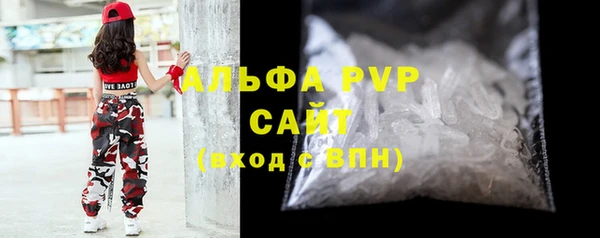 гашик Алексин