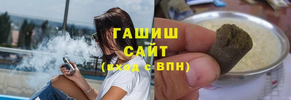 гашик Алексин