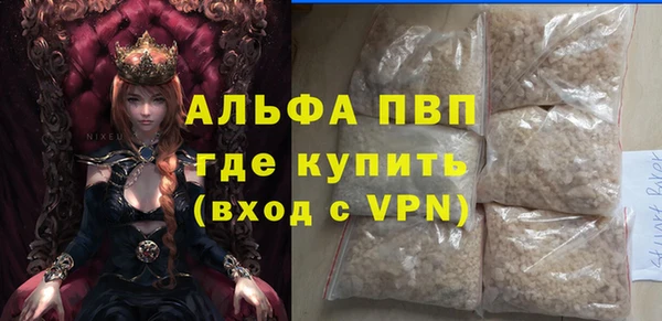 гашик Алексин