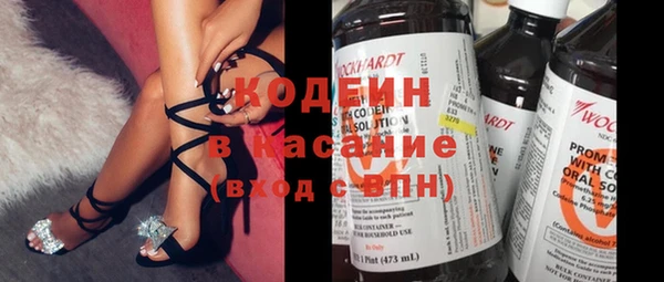гашик Алексин