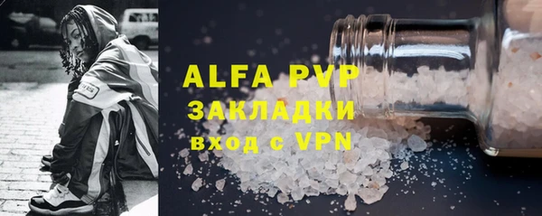 гашик Алексин